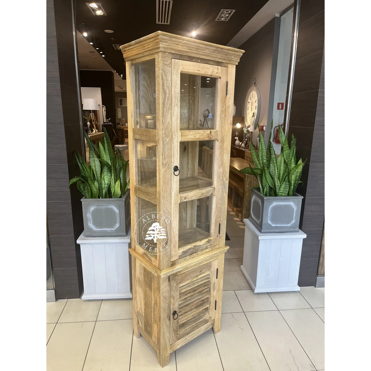 Wąska Drewniana Witryna w Jasnym Kolorze, Przeszklona